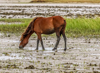 PonyPatrol25-6