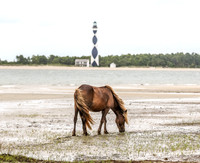 PonyPatrol25-13