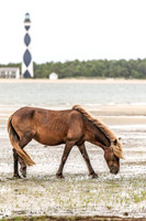 PonyPatrol25-14