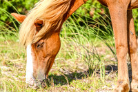 PonyPatrol25-98