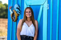 Goodwill2019-2
