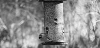 Nature-10