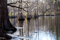 Nature-4