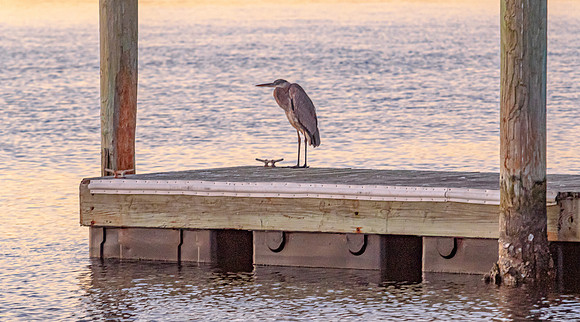 HAMMOCKBEACH-107