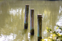 Heathsville-2