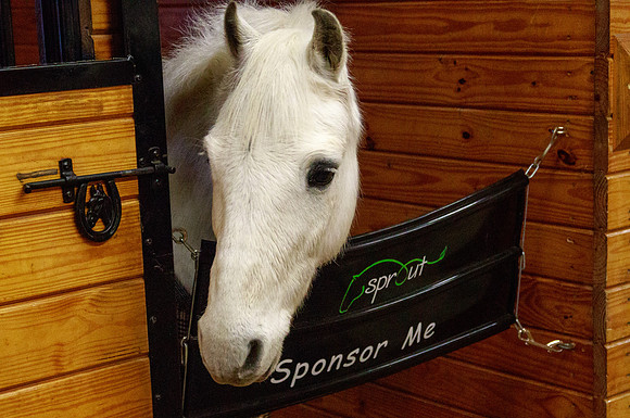 Sprout2018-39