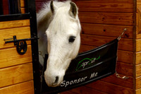 Sprout2018-39