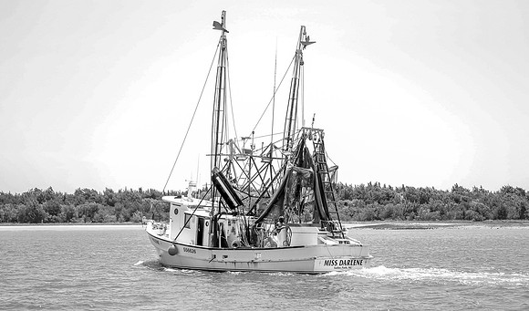 EIBW-7