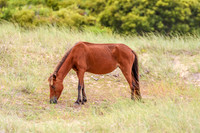 PonyPatrol25-9