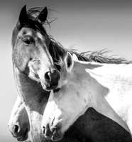 UtahPhotography-10