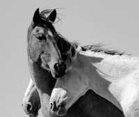 UtahPhotography-11