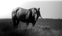 UtahPhotography-12