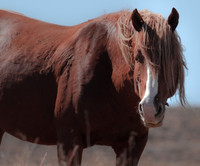 UtahPhotography-13