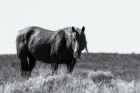 UtahPhotography-14