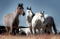 UtahPhotography-15