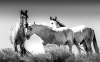 UtahPhotography-17
