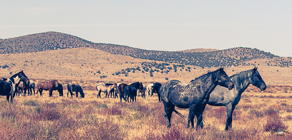 UtahPhotography-19