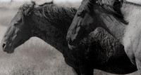 UtahPhotography-2