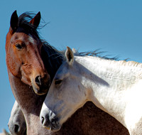 UtahPhotography-9