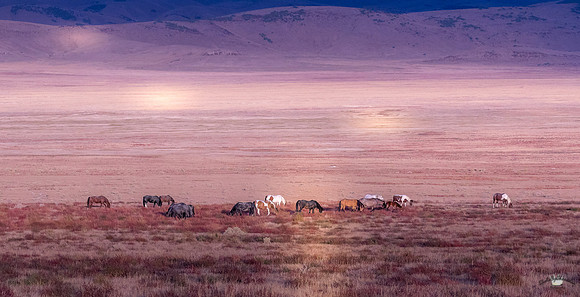 UtahPhotography-100
