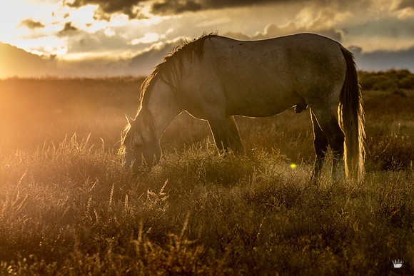 UtahPhotography-101