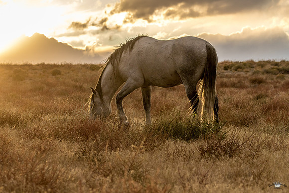 UtahPhotography-103