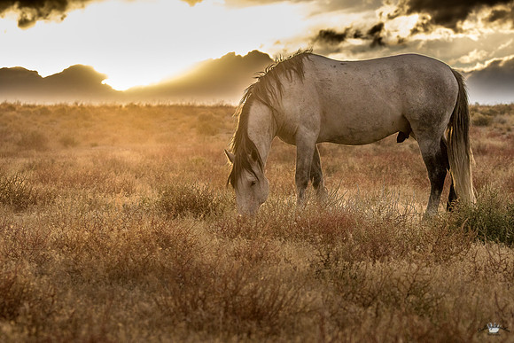 UtahPhotography-104
