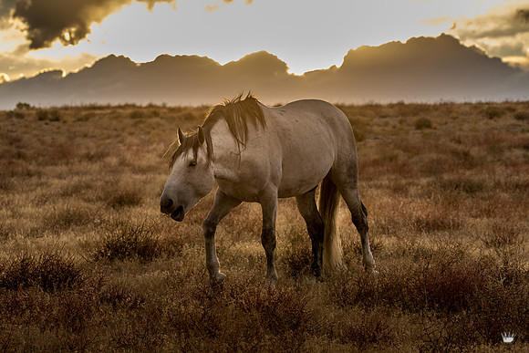 UtahPhotography-105