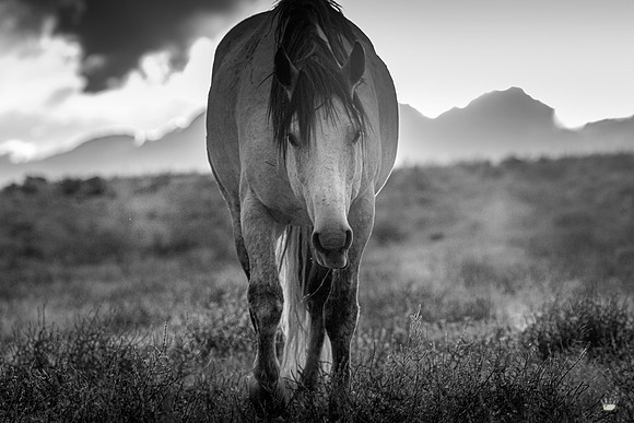 UtahPhotography-109