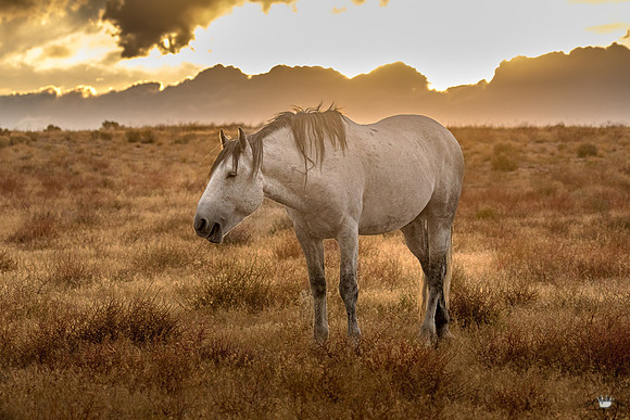 UtahPhotography-106