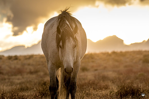 UtahPhotography-108