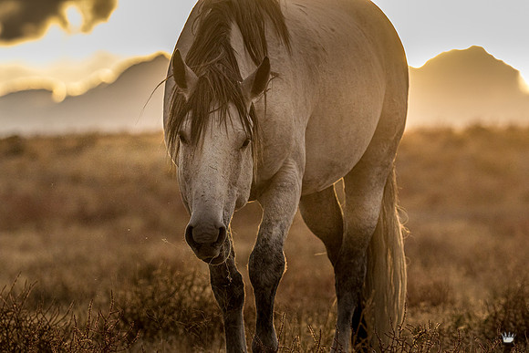 UtahPhotography-107