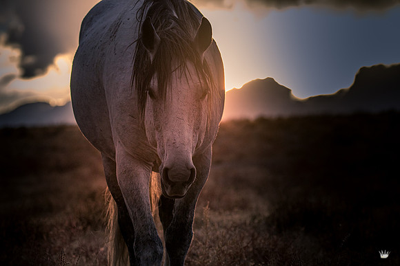 UtahPhotography-110