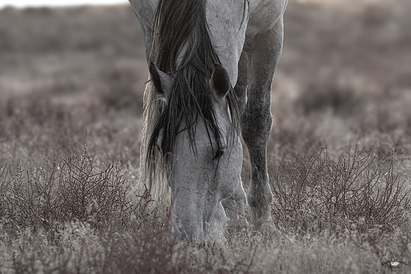 UtahPhotography-112
