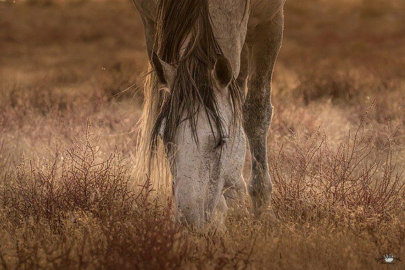 UtahPhotography-111
