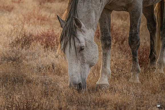 UtahPhotography-114
