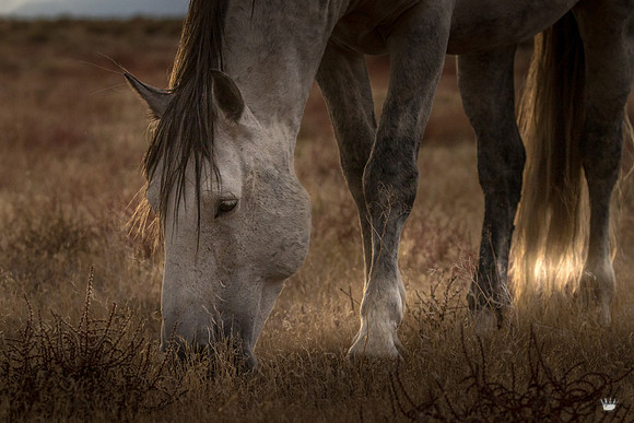 UtahPhotography-115