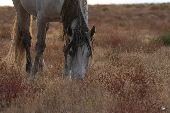 UtahPhotography-113