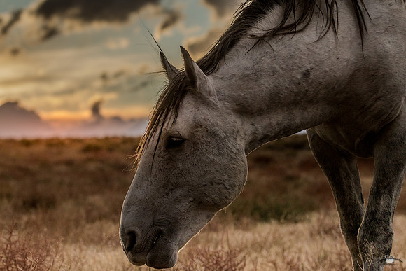 UtahPhotography-116