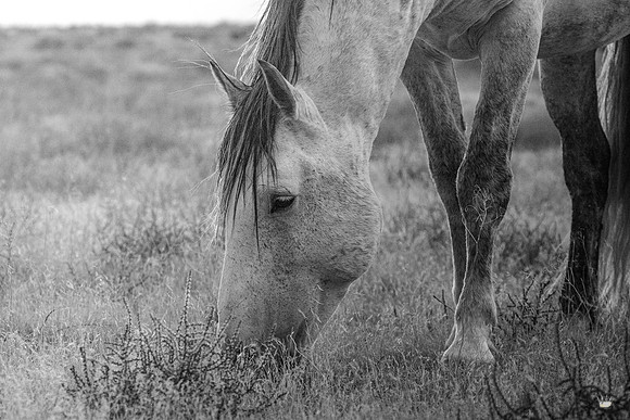 UtahPhotography-117