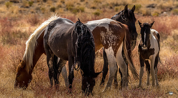 UtahPhotography-120