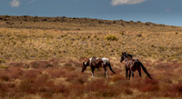 UtahPhotography-122