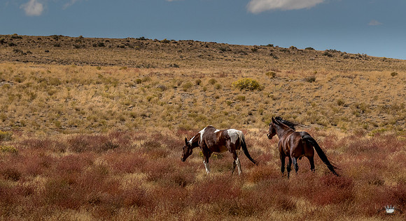 UtahPhotography-122