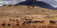UtahPhotography-121