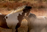 UtahPhotography-124