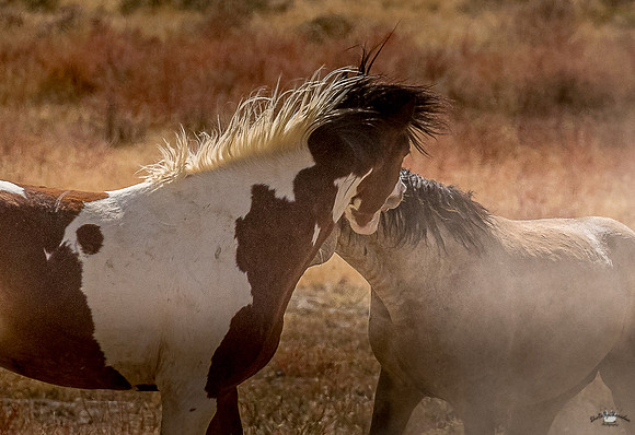 UtahPhotography-124