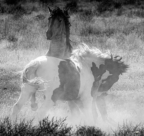 UtahPhotography-125