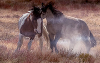 UtahPhotography-123
