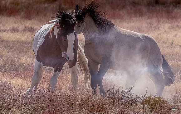 UtahPhotography-123