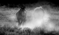 UtahPhotography-126
